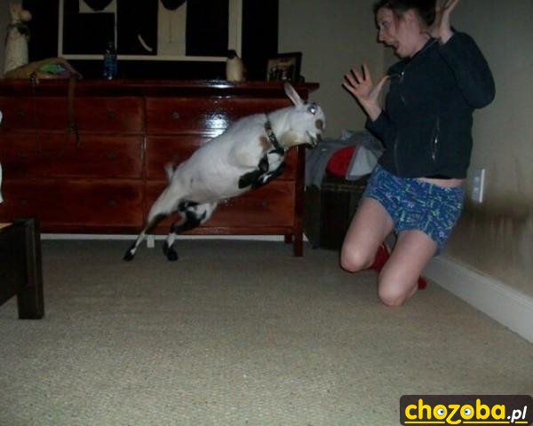 Aaaaa!