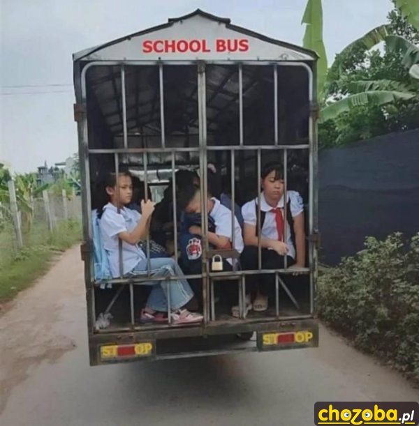 Autobus szkolny