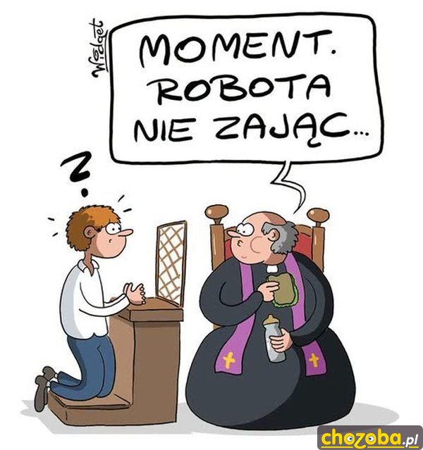 Robota nie zając