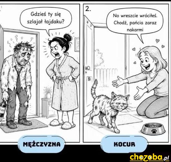 Mężczyzna i kocur