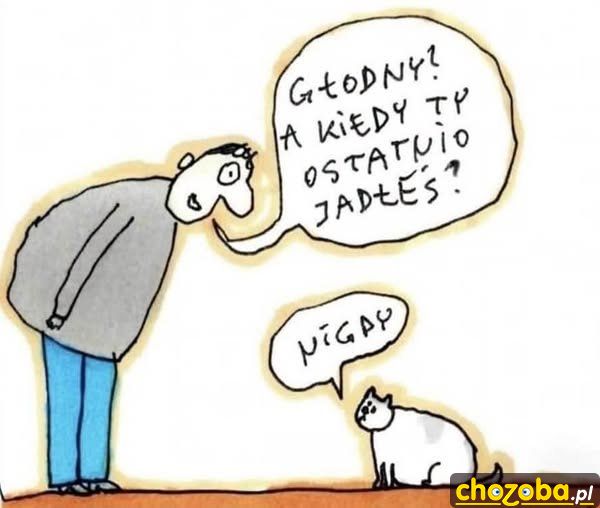 Głodny kotek