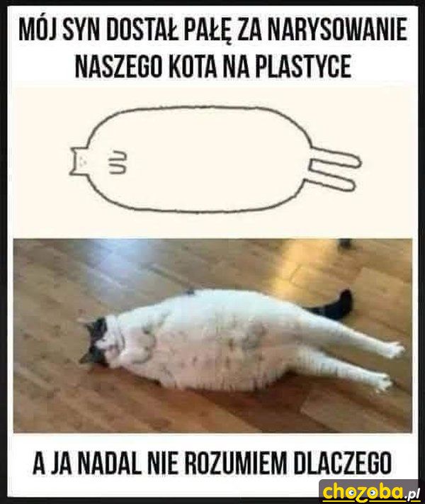 Narysowany kot