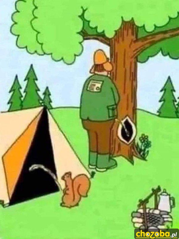 Sikanie w lesie