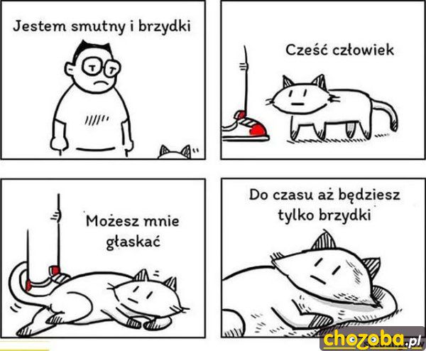 Człowiek i kot