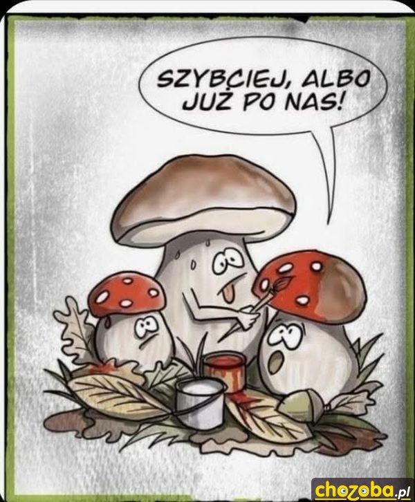Cwane grzyby