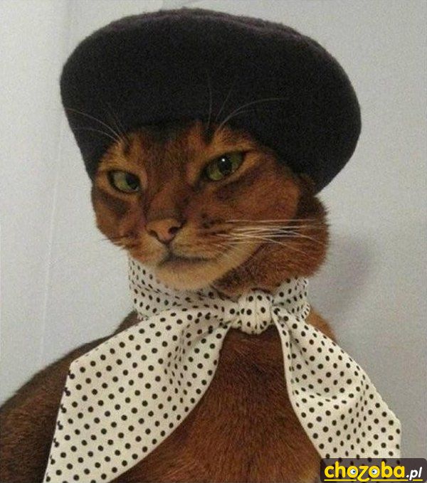 Elegancik