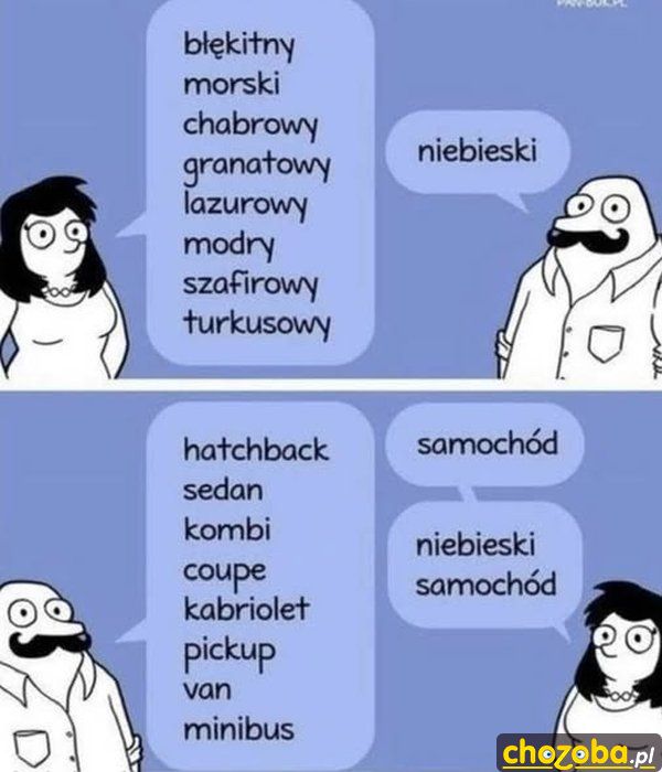 Kolory i auta