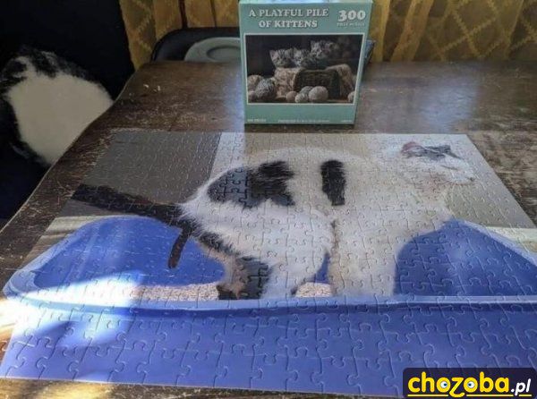 Puzzle