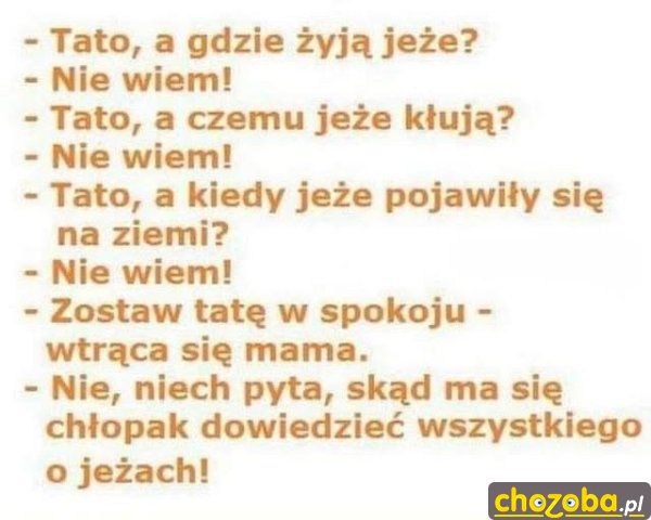 Mądry tata
