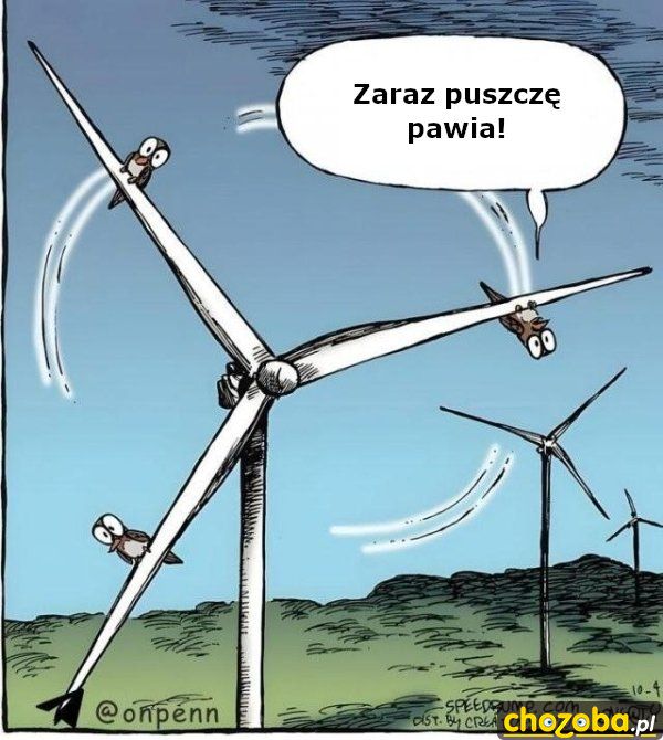 Ptaszek na wiatraku