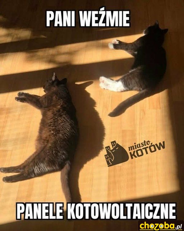 Panele kotowoltaiczne