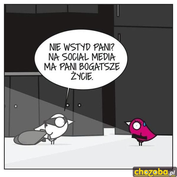 Socjalmedia