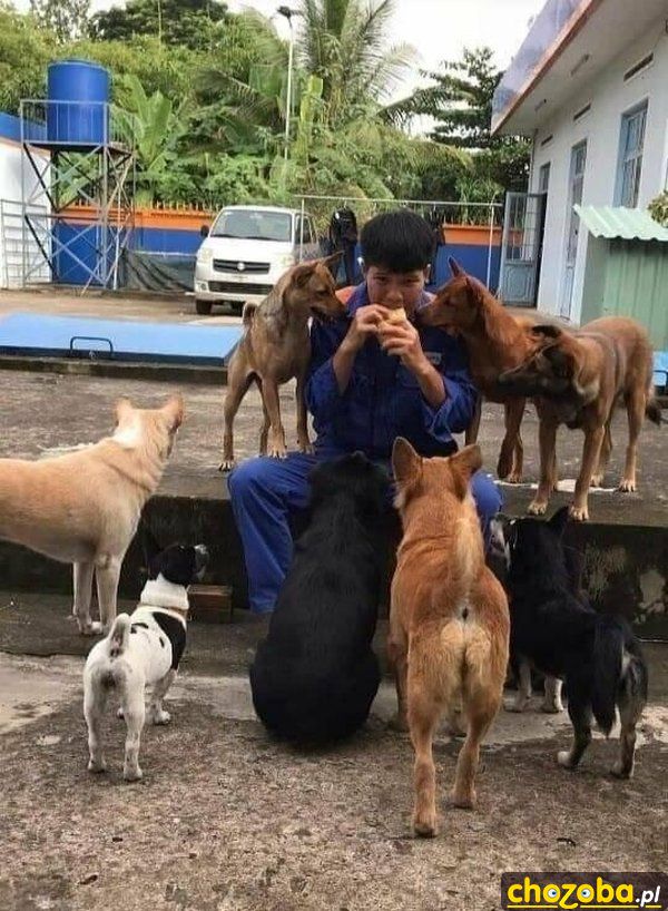 Sępy