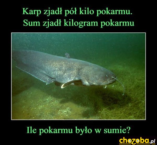 Zadanie