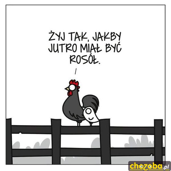 Porada życiowa