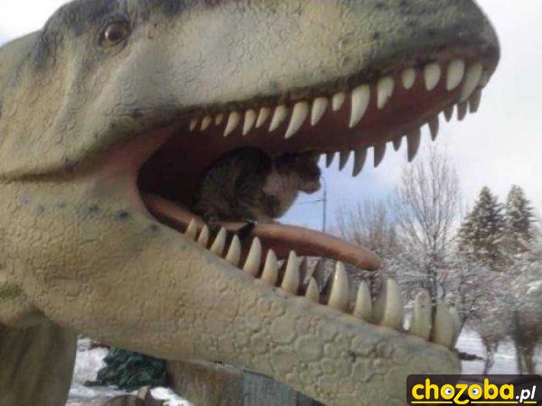 Kot w paszczy dinozaura