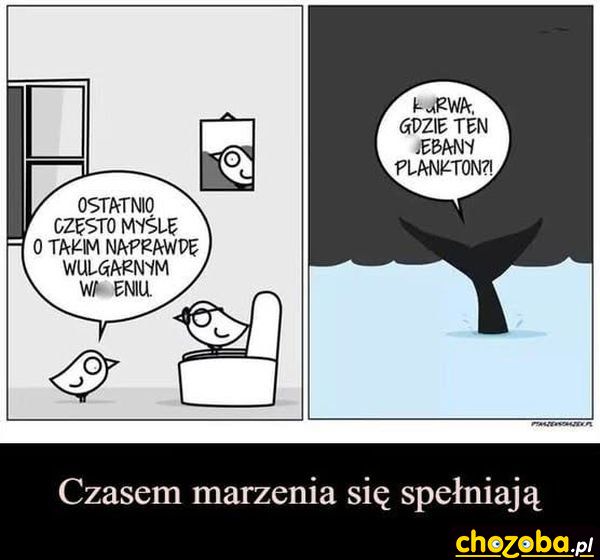 Marzenia się spełniają