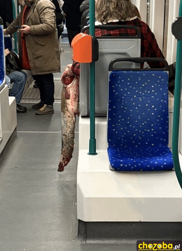 Ryba w tramwaju