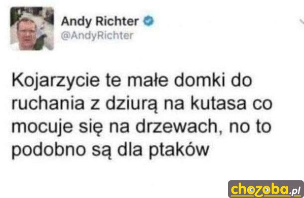 Budki dla ptaków