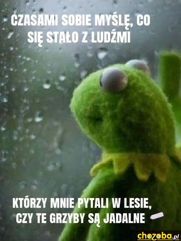 Co się z nimi stało?