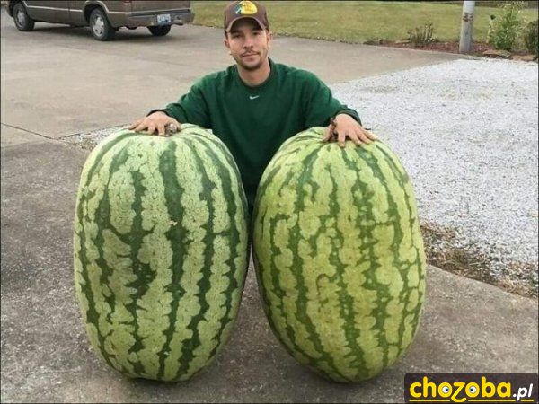 Mega arbuzy