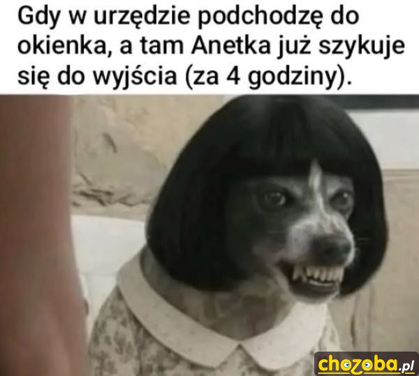 W urzędzie