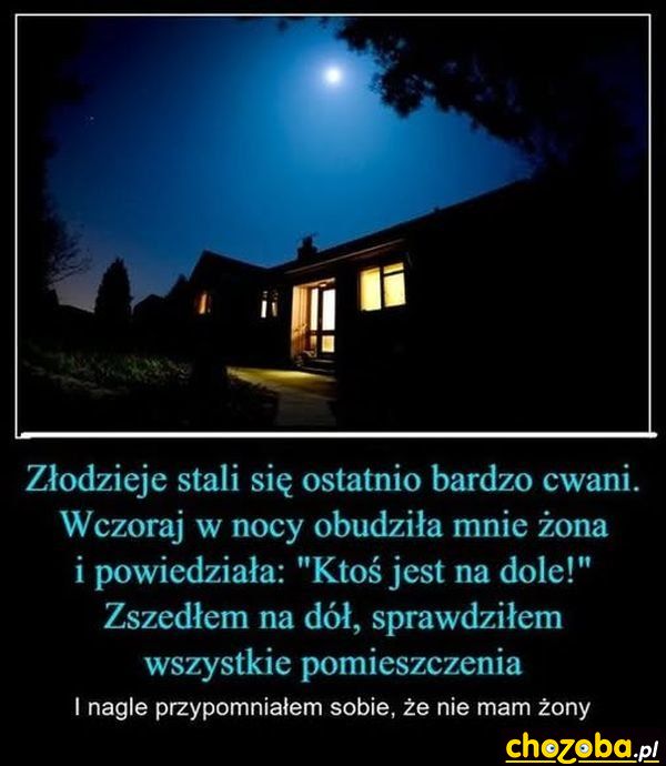 Cwani złodzieje