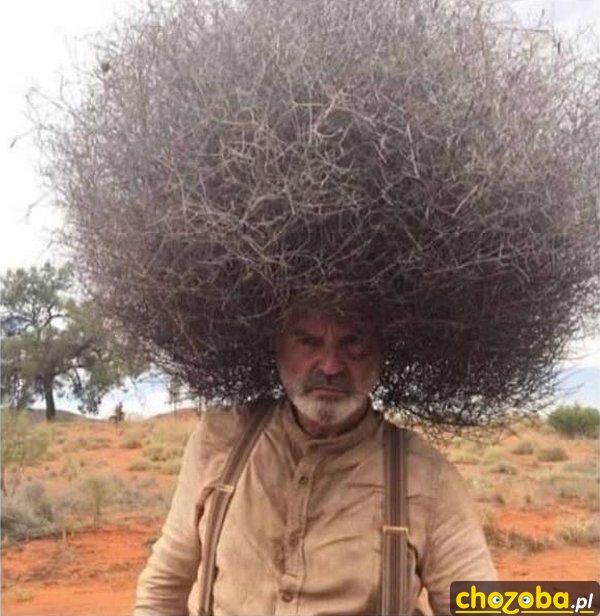 Duże afro