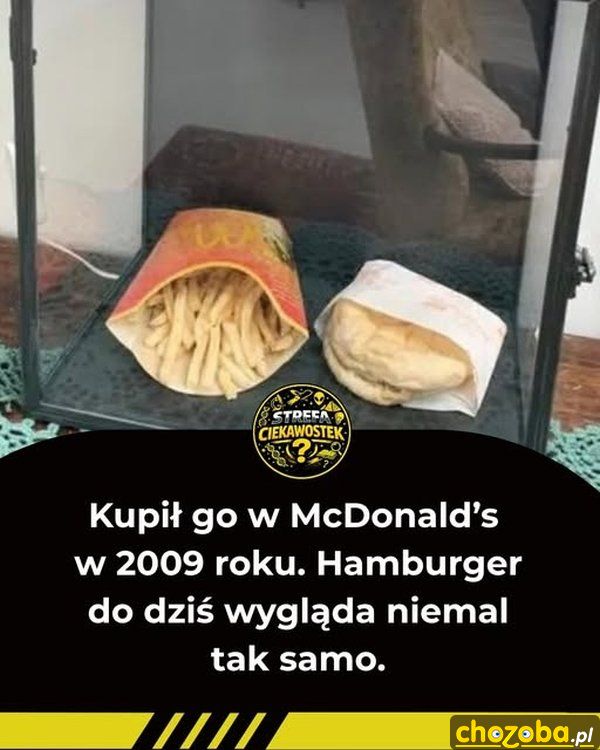 Hamburger z Maca