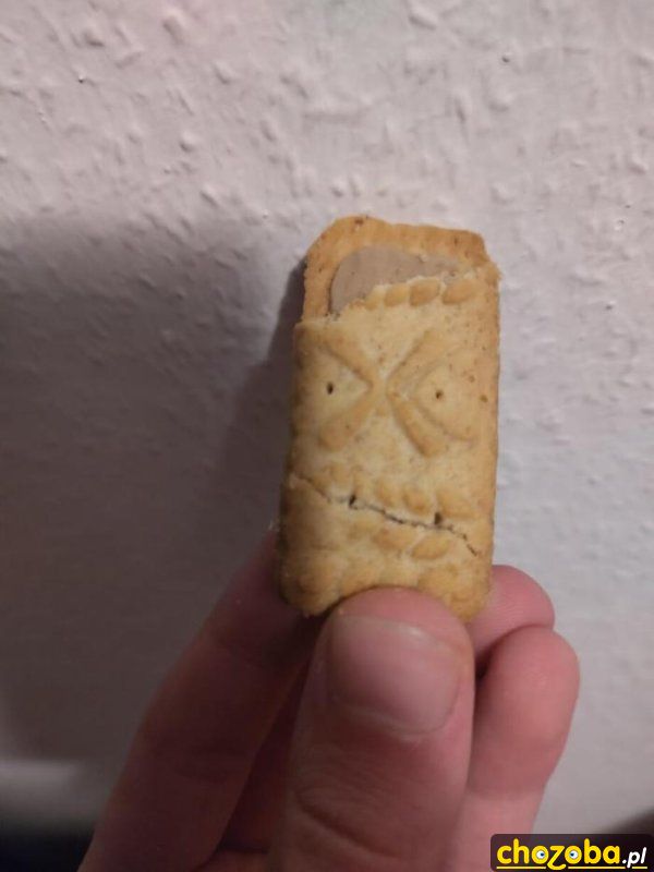 Ciastko z gębą