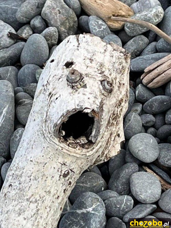 Aaaaaa!