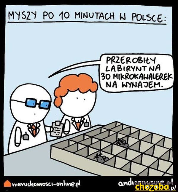 Mikrokawalerki