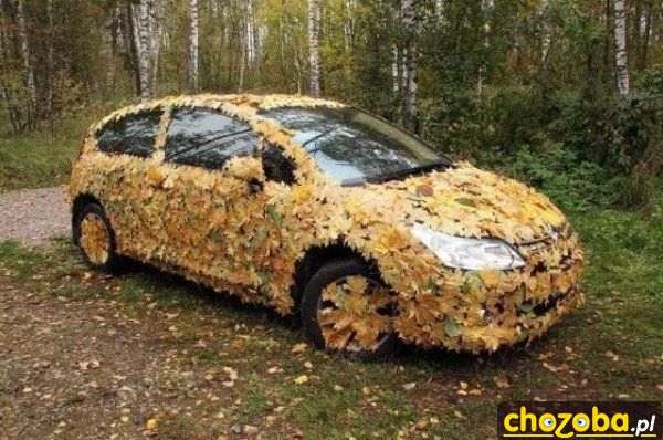 Auto jesienią