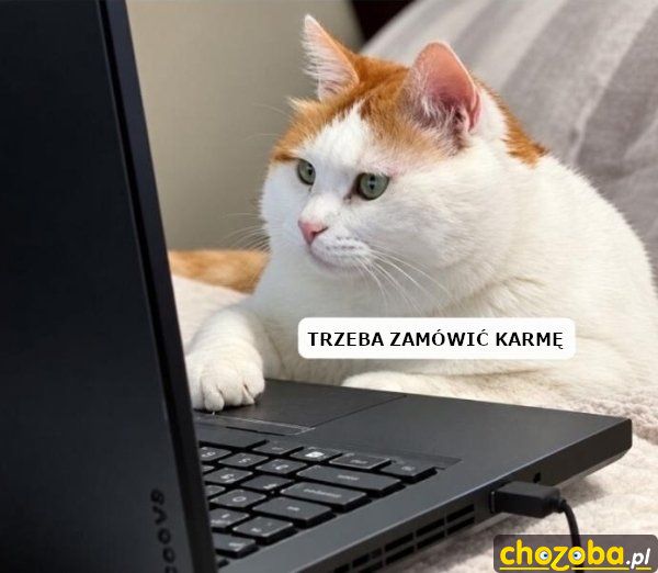 Zamówienie