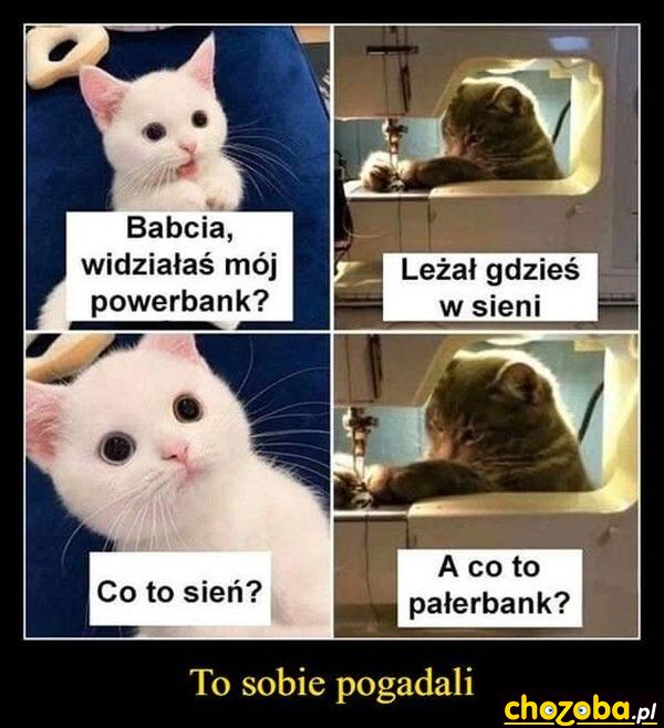 Różnica pokoleń